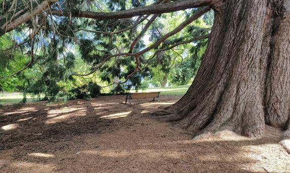 皇后鎮花園 Queenstown Garden